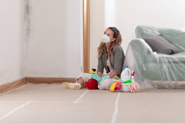 Reliable Mold Remediation contractor in Dublin, VA by Cheap Mold Removal